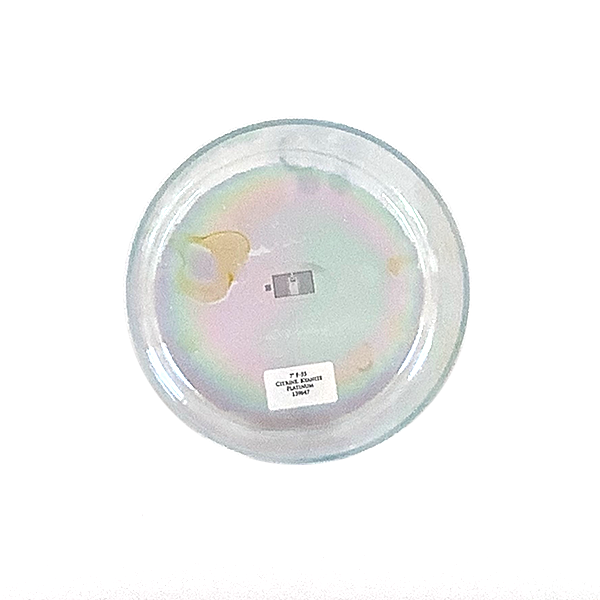 Citrine Kayanite Platinum 139647 7" F -35 Crystal Tones® singing bowl from Minnesota Sound Healing mnsoundhealing.com